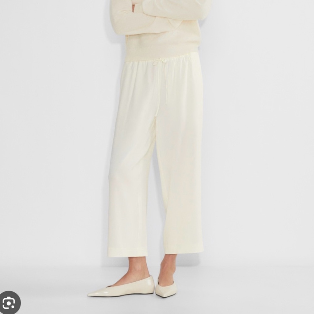 Aritzia Babaton Integrate Pant